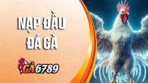 Khuyến mãi Nạp Đầu Đá Gà GA6789